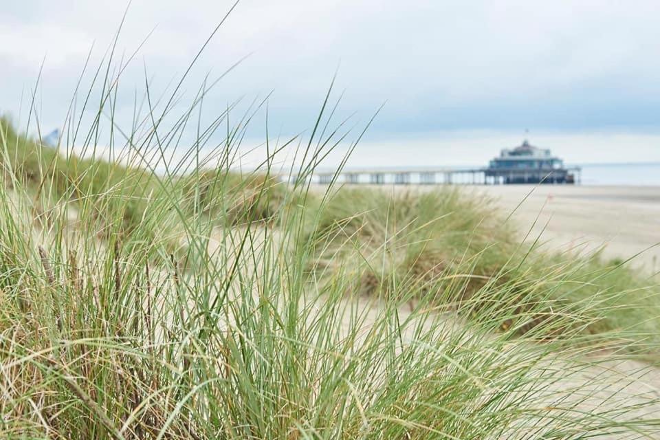 Charmant Zeehuys 100M Van Zee Dichtbij Brugge Blankenberge Exterior photo